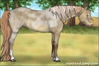 Horse Color:Liver Red Dun Roan Sabino Brindle