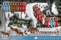 Horse Color:Gray Smoky Black Sabino Splash Tobiano Appaloosa Rabicano