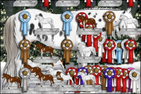 Horse Color:Gray Smoky Black Sabino Splash Tobiano Appaloosa Rabicano