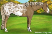 Horse Color:Chocolate Palomino Ice Frame 