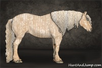 Horse Color:Palomino Roan Pearl and Red Roan