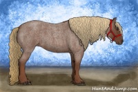 Horse Color:Red Roan 