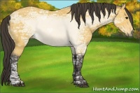 Horse Color:Buckskin Ice 