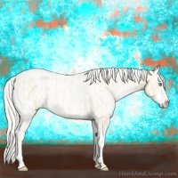 Horse Color:Palomino Roan Pearl and Palomino Roan Pearl Appaloosa