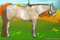 Horse Color:White Spotted Liver Red Dun Pearl