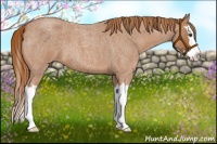 Horse Color:Red Roan Splash 