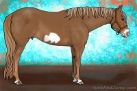 Horse Color:Chestnut Frame 