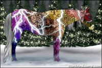 Horse Color:White Spotted Black Ice Splash Appaloosa 