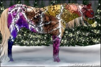 Horse Color:White Spotted Amber Champagne Ice Pearl Dun Splash Appaloosa 