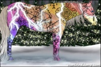 Horse Color:Silver Grullo Sabino Splash Appaloosa