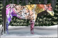 Horse Color:Brown Dun Splash Appaloosa 