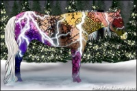 Horse Color:White Spotted Silver Brown Pearl Dun Splash Appaloosa 