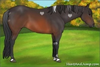 Horse Color:Brown 