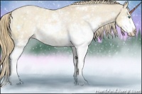 Horse Color:Perlino Sabino Appaloosa Rabicano