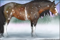 Horse Color:White Spotted Buckskin Sabino 