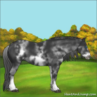 Horse Color:White Spotted Black Frame 