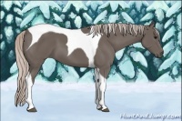 Horse Color:Silver Black Tobiano