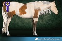 Horse Color:Chocolate Palomino and Palomino Roan Pearl