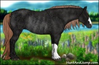 Horse Color:Liver Chestnut Ice Rabicano