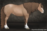 Horse Color:Black Pearl Sabino