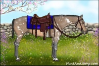 Horse Color:White Spotted Buckskin