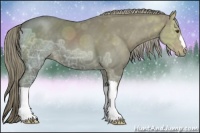 Horse Color:Liver Chestnut Ice 