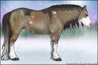 Horse Color:Liver Red Dun Sabino Splash Rabicano