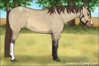 Horse Color:Bay Roan Dun Snowflake Varnish