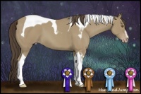 Horse Color:Classic Cream Champagne Sabino Tobiano