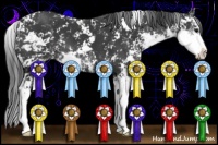 Horse Color:Black Sabino 