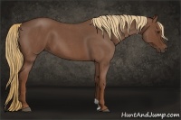 Horse Color:Red Roan 