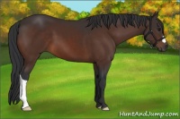 Horse Color:Brown 