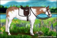Horse Color:White Spotted Silver Bay Frame 