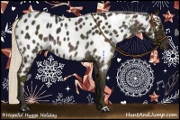 Horse Color:Midnight Palomino Roan Appaloosa