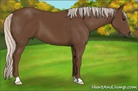 Horse Color:Chocolate Silver Smoky Black 