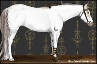 Horse Color:Liver Red Dun Sabino Frame Varnish 