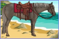 Horse Color:Chocolate Palomino 