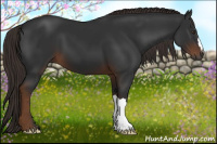 Horse Color:Gray Liver Chestnut 
