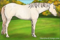 Horse Color:Buckskin Roan Pearl  and Silver Buckskin Roan Pearl 