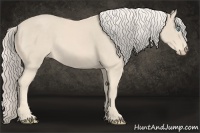 Horse Color:Cremello 