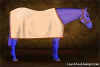 Horse Color:Watercolor Grullo Blanket