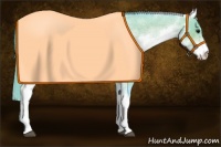 Horse Color:Watercolor White Spotted Buckskin Roan Varnish 