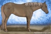 Horse Color:Chocolate Palomino 