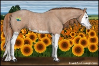 Horse Color:Red Roan Splash Rabicano 