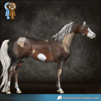 Horse Color:Chocolate Palomino Pearl Mushroom Frame  and Liver Chestnut Mushroom Frame 