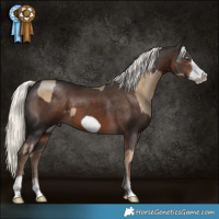 Horse Color:Chocolate Palomino Pearl Mushroom Frame and Liver Chestnut Mushroom Frame