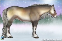 Horse Color:Liver Red Onyx