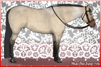 Horse Color:Brown Roan Dun 