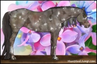 Horse Color:White Spotted Liver Chestnut Ice Sabino 