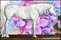 Horse Color:White Spotted Chocolate Palomino Pearl Dun Sabino Splash 